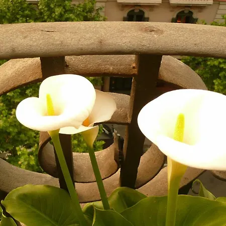 Balcones Y Vistas En El Centro De La Ciudad Apartment *