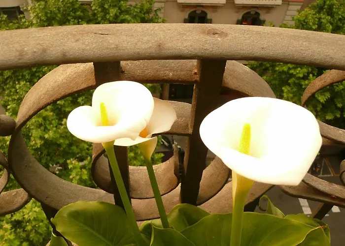 Balcones Y Vistas En El Centro De La Ciudad アパート *